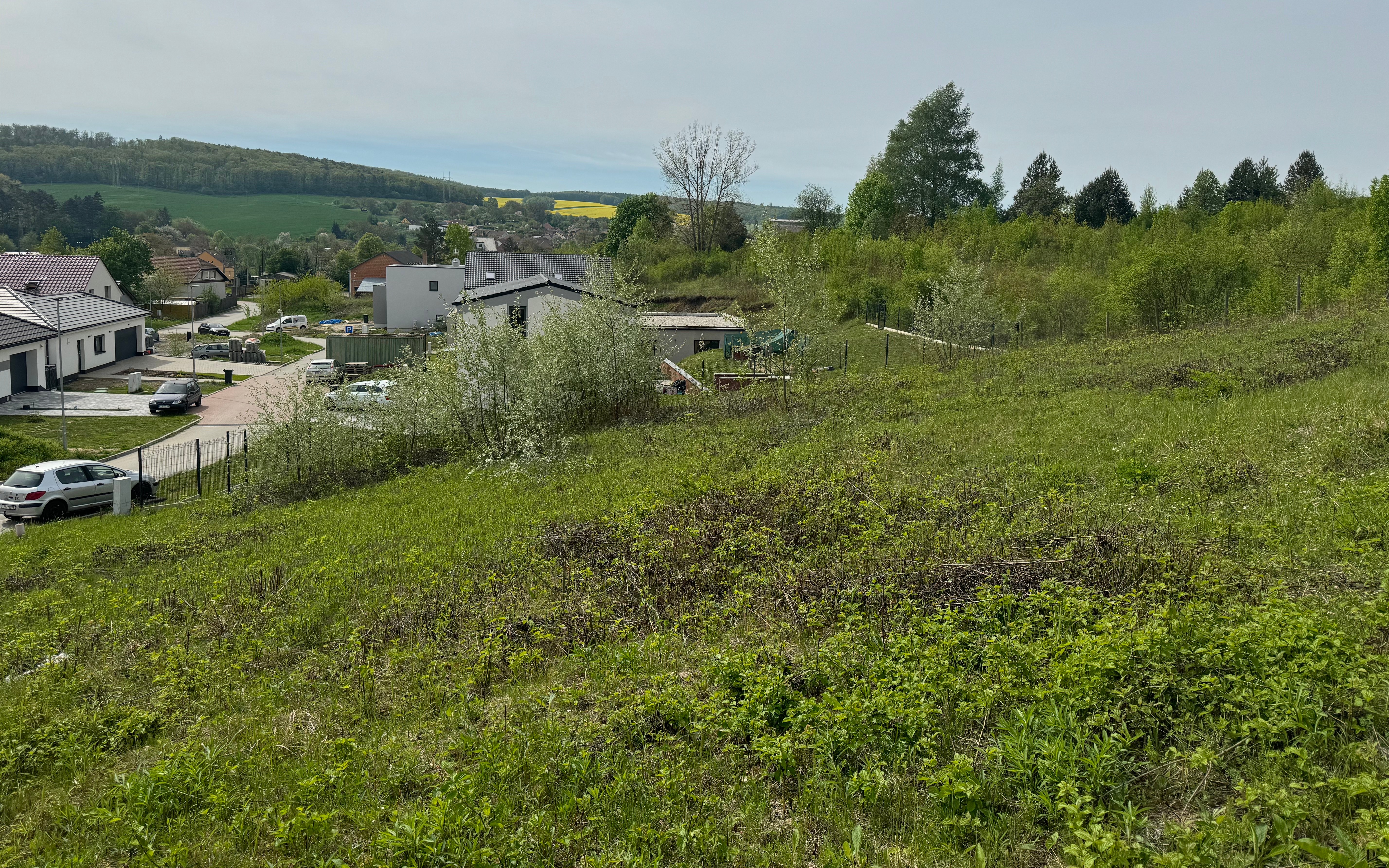Nesovice  - foto 18
